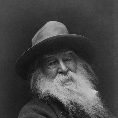 Retrato en blanco y negro de Walt Whitman